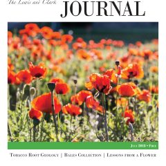 July 2018 LCJ