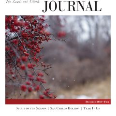 December 2018 LCJ