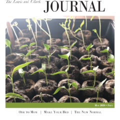 May 2020 LCJ