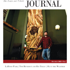December 2020 LCJ