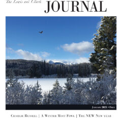 January 2021 LCJ